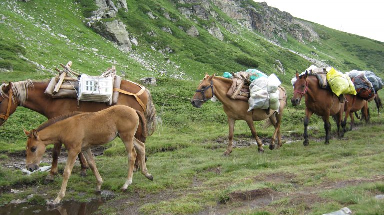 Read more about the article Приказка за Звездан
