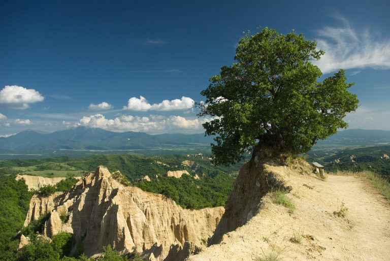 Read more about the article Българка