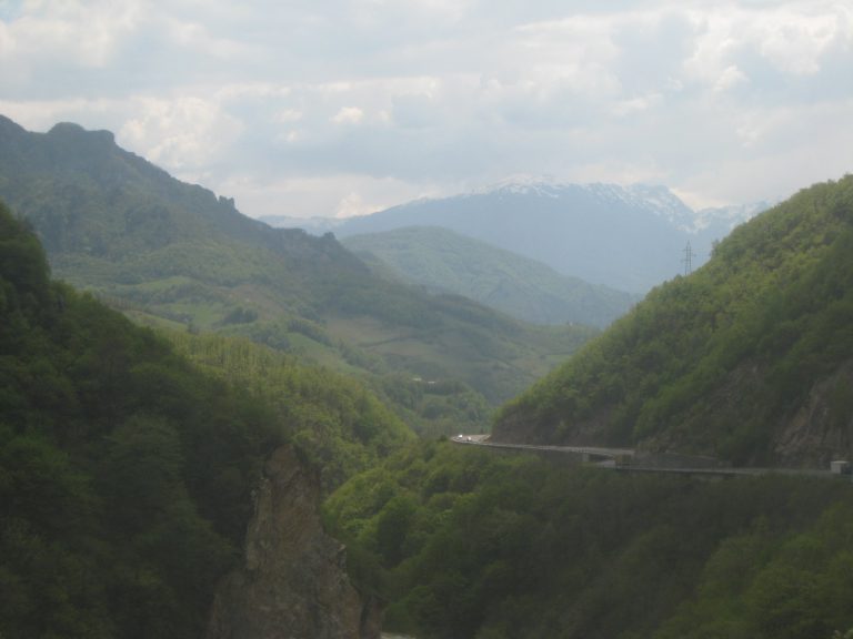Read more about the article Босненски пътеписи